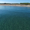 Spiaggia sabbiosa con mare calmo e acque trasparenti, vegetazione all'orizzonte.